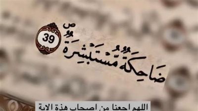 قصه الطائر وسيدنا سليمان
