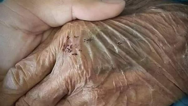 موقع أيام نيوز