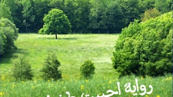 موقع أيام نيوز