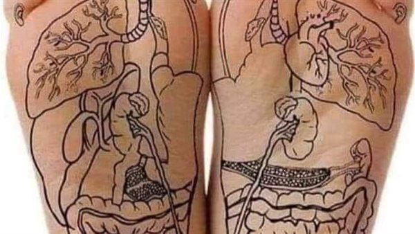 موقع أيام نيوز