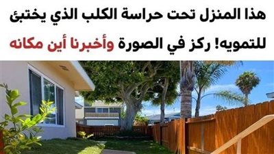 اختبر قوة بصرك وحاول العثور على الحيوانات المختبئة داخل تفاصيل هذه الصور