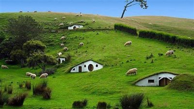 قال الله تعالى في سورة عبس {وَفَاكِهَةً وَأَبًّا} ما معنى كلمة وأبًّا