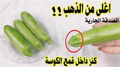 كنز فى بيتك داخل اقماع الكوسا واغلى من الذهب