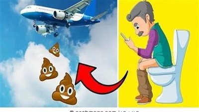 +10 أسئلة جالت كثيراً في خاطرنا لكننا تكاسلنا في البحث عن إجاباتها لإرضاء فضولنا